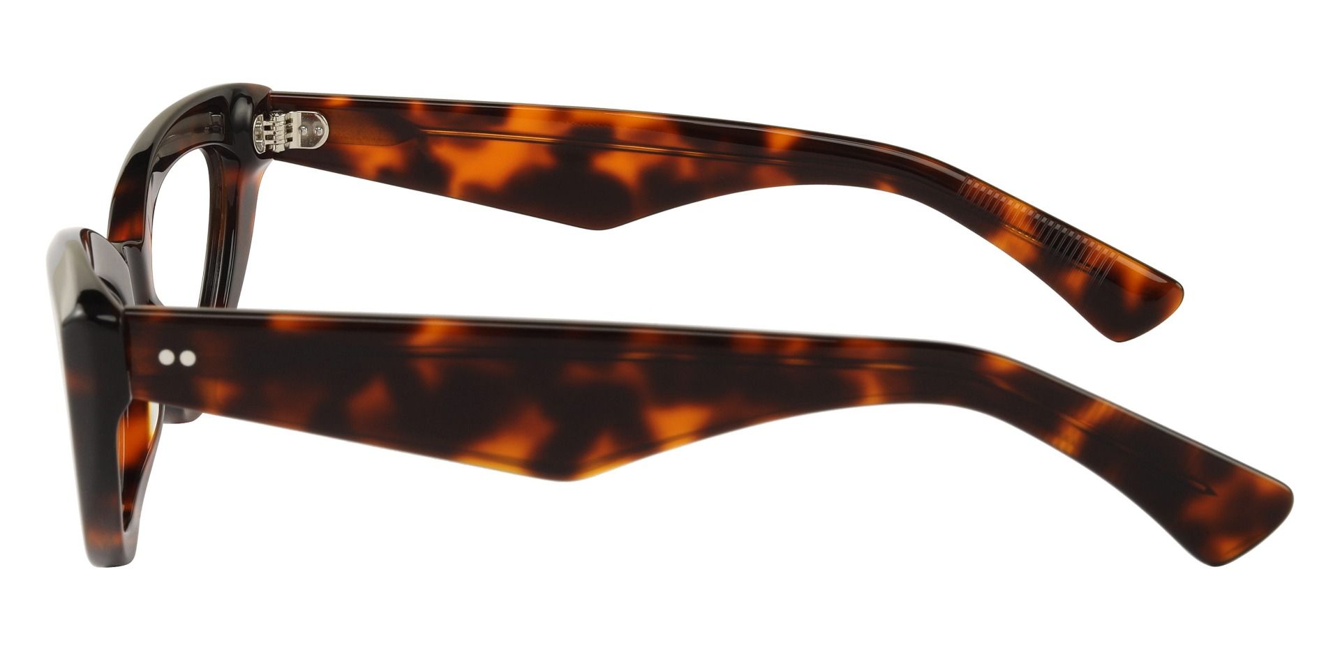 Alocasia Cat Eye