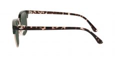Portage Browline