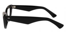 Alocasia Cat Eye