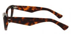 Alocasia Cat Eye