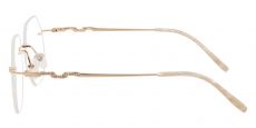 Raleigh Rimless