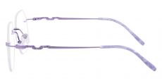 Raleigh Rimless