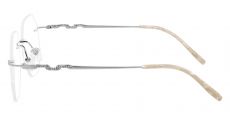 Raleigh Rimless