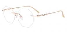 Raleigh Rimless