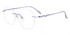 Raleigh Rimless