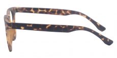 Cicely Oval